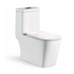 BRAVAT 8108-30 Siphonic One Piece Toilet - Premium Ceramic Water Closet with Dual Flush System